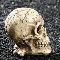 Декор для аквариума "Череп", 10 х 8 х 9 см Декор для аквариума "Череп", 10 х 8 х 9 см