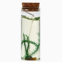 Новогодняя свеча интерьерная в колбе &laquo;Новый год: Еловая ветка&raquo; 3х3х8см