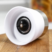 Мельница для специй Доляна &laquo;Модерн&raquo;, 180 мл, 6,5&times;13 см, цвет белый