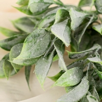 Букет искусственный &laquo;Травка широкие листья&raquo;, h=30 см