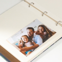 Фотоальбом на кольцах на 200 фото 6х9 см "Коалы на деревьях" 3х22,7х23,5 см