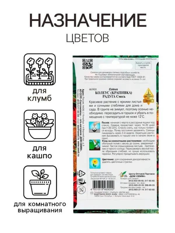 Семена комнатных цветов Колеус "Блюма Радуга", 130 шт.