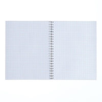 Тетрадь 48 листов, в клетку, на гребне "Моноколор.Классика", обложка мелованный картон, вд-лак, МИКС