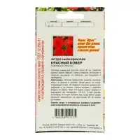 Семена Цветов Астра низкорослая Красный ковер , 0,2 г