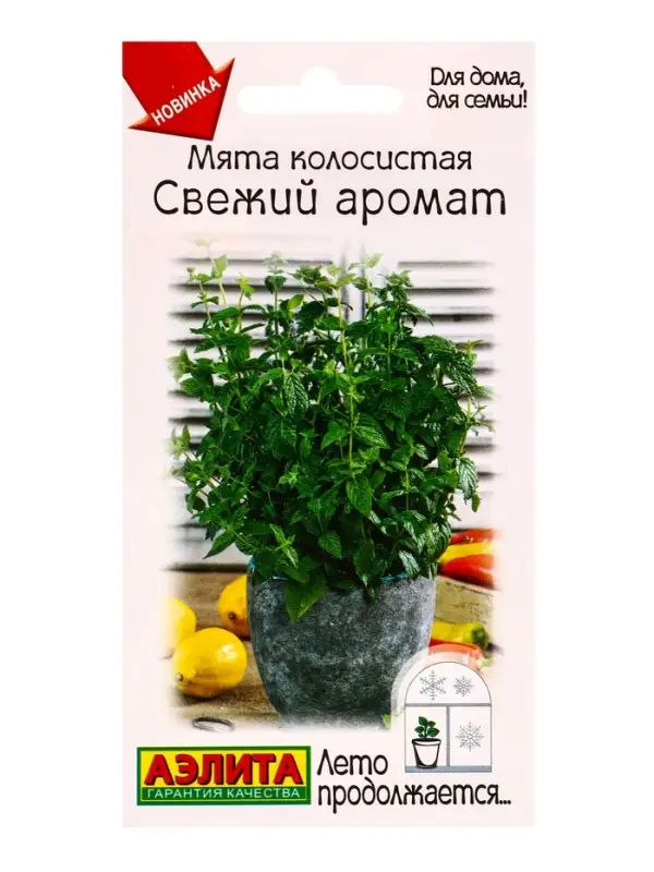 Семена Мята колосистая Свежий аромат Лето продолжается., Ц/П,0,05 г