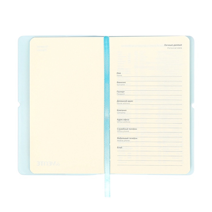 Планинг карманный недатированный, 80 листов, 100х170 мм, deVENTE.Jane, мягкая обложка ПВХ, на резинке, перфорация, ляссе, блок 70%, голубой