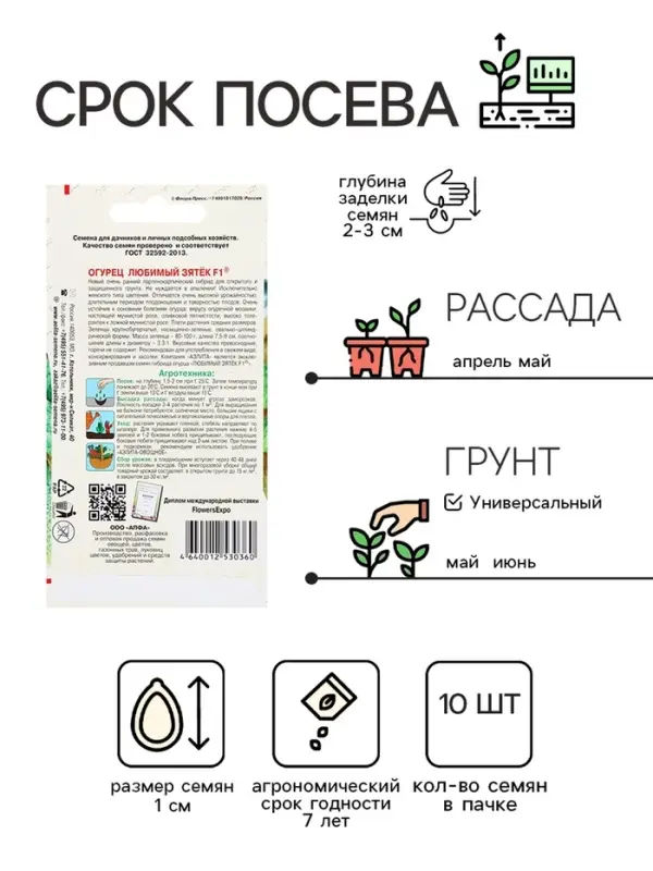 Семена Огурец "Любимый зятек" F1, раннеспелый, партенокарпический, 10 шт