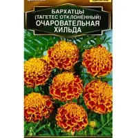 Семена цветов Бархатцы Очаровательная Хильда отклоненные  Золотая серия, Ц/П,0,3 г