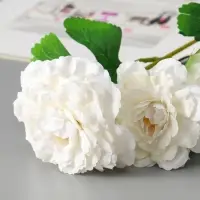 Цветы искусственные "Хризантема волнистая галант" d-8 см 58 см, белый