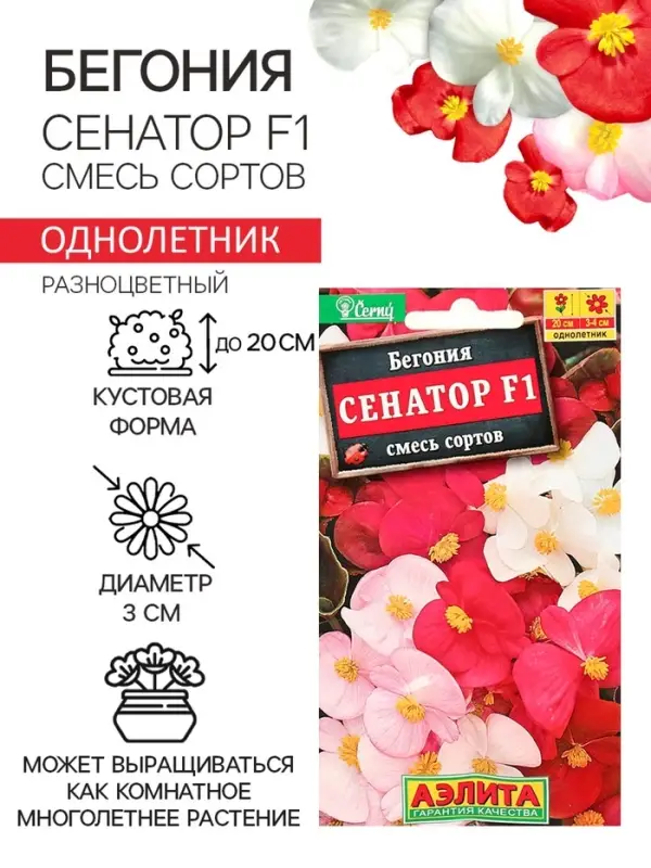 Семена  цветов Бегония вечноцветущая "Сенатор F1", смесь, О, 10 шт