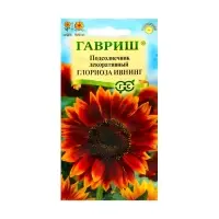 Семена цветов Подсолнечник декоративный "Глориоза Ивнинг", ц/п,  0,5 г