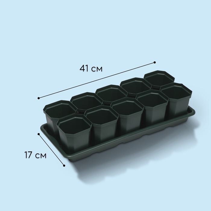 Набор для рассады: стаканы по 300 мл (10 шт.), поддон 41 &times; 17 см, цвет МИКС