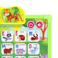 Доска музыкальная &laquo;Первые знания&raquo;, звук