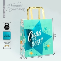 Упаковка, пакет подарочный, &laquo;Сияй&raquo;, ML 23 х 27 х 11.5 см