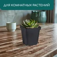 Горшок для рассады, 700 мл, d=10 см, h=12.5 см, пластик, чёрный, Greengo