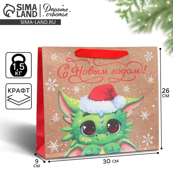 Пакет подарочный новогодний крафтовый &laquo;Милый дракон&raquo;, M 30 х 26 х 9 см