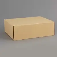 Коробка складная &laquo;Бежевая&raquo;, для подарков, хранения и отправки посылок, 27&times;21&times;9 см