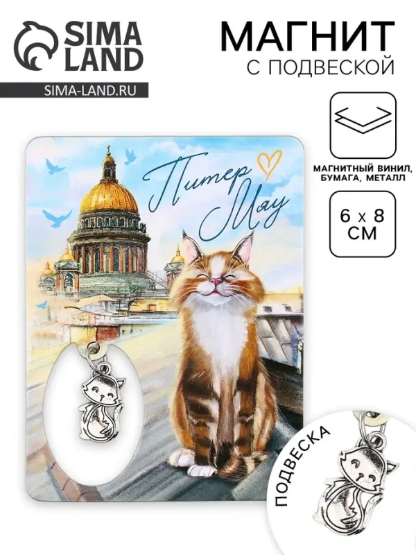 Магнит &laquo;Питер&raquo;, 6&times;8 см