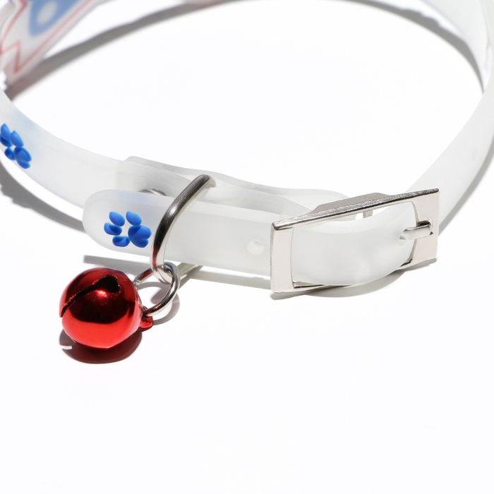 Ошейник Ошейник "Бантик", 28 х 1 см, ОШ 18-24 см, прозрачный/синий