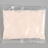 Магнит из гипса &laquo;Турбозавры. До&raquo;