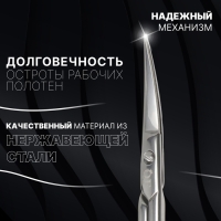 Ножницы маникюрные &laquo;Premium&raquo;, загнутые, узкие, 10,5 см, на блистере, цвет серебристый