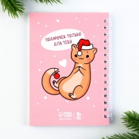 Подарочный набор новогодний, блокнот на спирали А6, 60 листов и магнитные закладки 2 шт. &laquo;В новый год только с тобой&raquo;