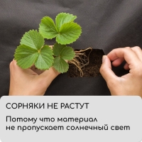 Материал мульчирующий, с перфорацией, 5 &times; 1,6 м, плотность 80 г/м&sup2;, спанбонд с УФ-стабилизатором, чёрный, Greengo, Эконом 30%