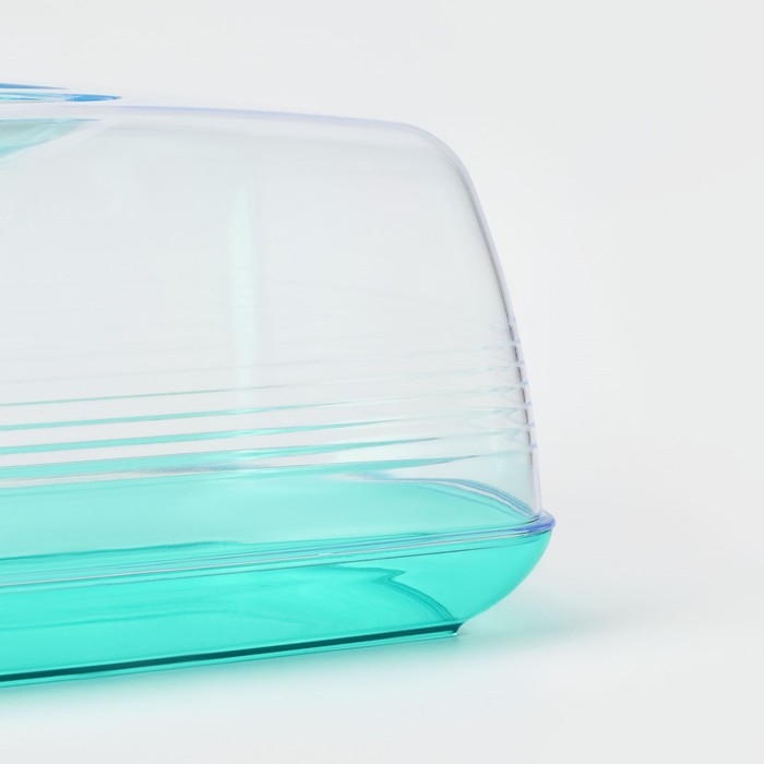 Хлебница «Fresh», 23,5×14×10 см, цвет мятный-полупрозрачный Хлебница «Fresh», 23,5×14×10 см, цвет мятный-полупрозрачный