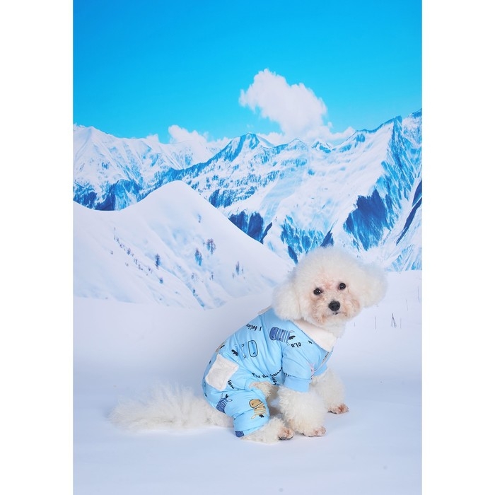 Комбинезон Комбинезон "Метель", размер S (ДС 25 см, ОГ 35, ОШ 24 см), голубой