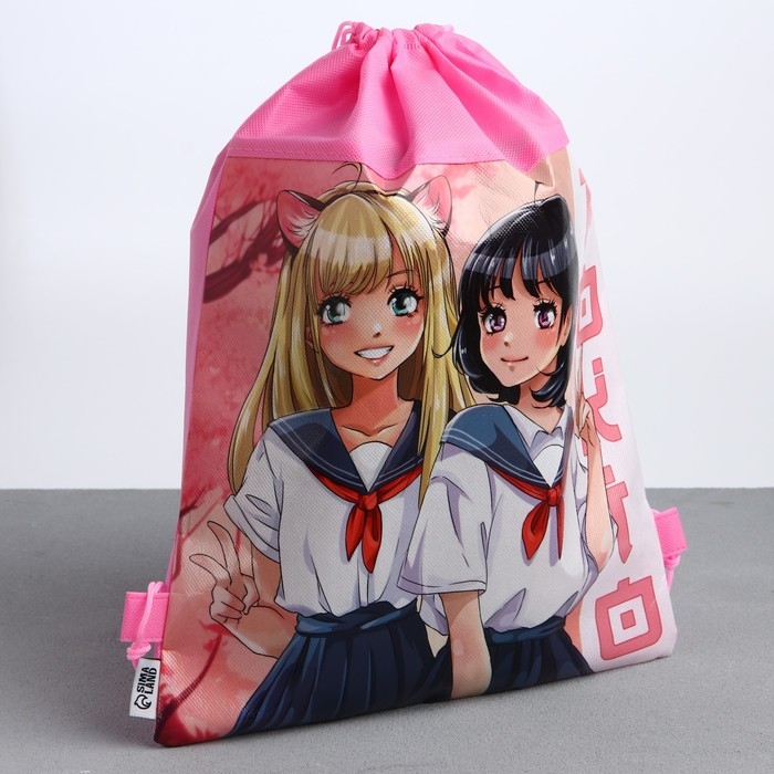 Мешок для обуви &laquo;Школьницы&raquo; полиэстер, размер 30 х 40 см