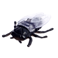 Набор животных &laquo;Насекомые&raquo;, 12 фигурок с аксессуарами