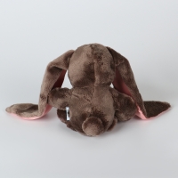 Мягкая игрушка &laquo;Зайка Li&raquo;, с книгой, девочка, заяц, 25 см