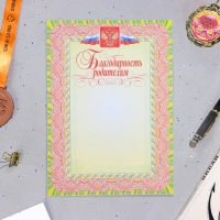 Папка "Портфолио обучающегося в начальной школе", 8 грамот, А4 Папка "Портфолио обучающегося в начальной школе", 8 грамот, А4