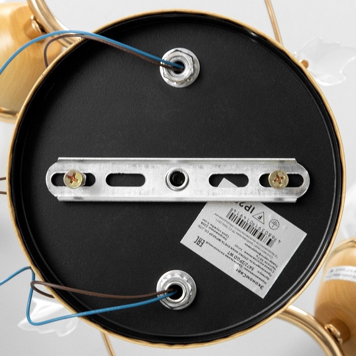 Люстра  "Лепестки" 2x40Вт E27 золото 44х33х28 см