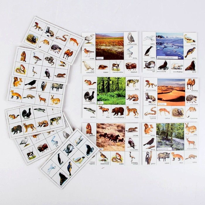 Лото детское&raquo; Кто где живёт?&raquo;, МИКС