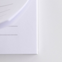 Подарочный набор &laquo;Ежедневник паттерн цветок &raquo;: ежедневник А5 80 листов и экоручка