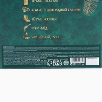 Подарочный набор «Веселья в новом году»: чай со вкусом тропические фрукты 50 г., крем-мед с черникой 120 г., носки р-р: 36–39, термос 500 мл. Подарочный набор «Веселья в новом году»: чай со вкусом тропические фрукты 50 г., крем-мед с черникой 120 г., носки р-р: 36–39, термос 500 мл.