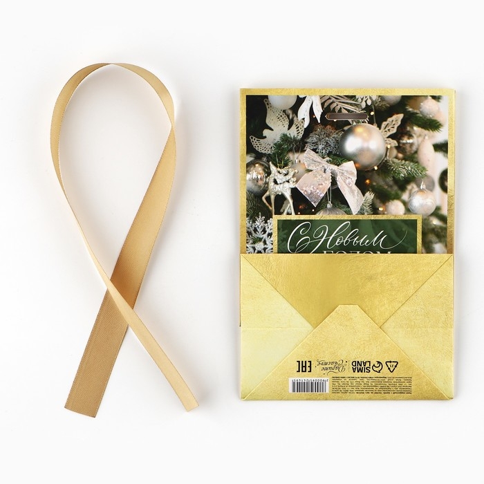 Пакет подарочный новогодний с лентой &laquo;Зима&raquo;, 13 х 19 х 9 см