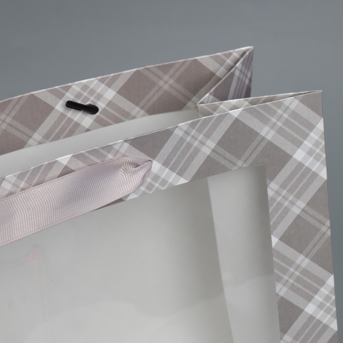 Пакет подарочный крафтовый с пластиковым окном, упаковка, &laquo;Мужской&raquo;, 31 х 26 х 10 см