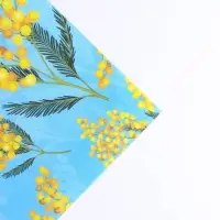 Бумага упаковочная крафтовая &laquo;Самой нежной&raquo;, 8 марта, 70 х 100 см