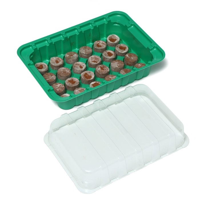 Мини-парник для рассады: кокосовая таблетка d = 3 см (24 шт.), парник 25 &times; 17,5 см, jiffy