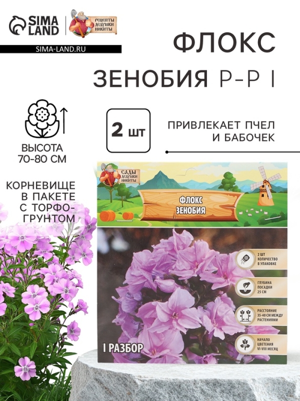 Флокс &laquo;Зенобия&raquo; корневище в пакете с торфогрунтом, р-р I, 2 шт.