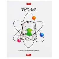 Комплект предметных тетрадей 48 листов, 12 предметов Hatber &laquo;Приключения кота Пирожка&raquo;, обложка мелованная бумага, с интерактивным справочником,...