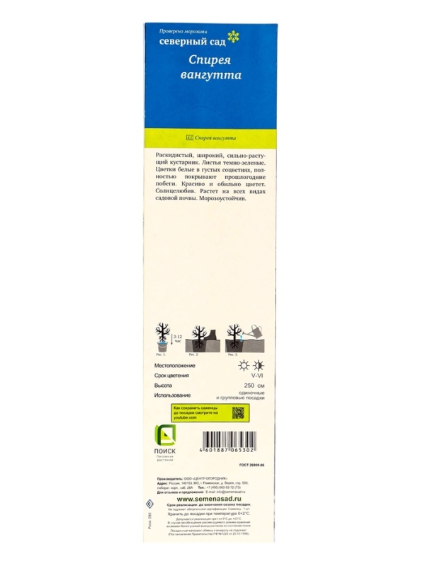 Спирея Вангутта (Серия Северный сад), саженец, туба, 1 шт.