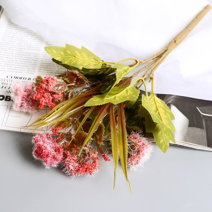 Букет Букет "Пушица гомфрен" 30 см, микс