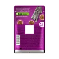 Влажный корм Whiskas для кошек, рагу телятина/ягненок/овощи, 75г