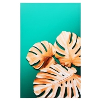 Картина на подрамнике "Золотая монстера" 70*110 Картина на подрамнике "Золотая монстера" 70*110