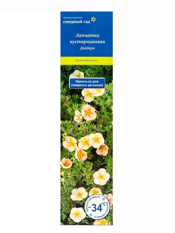 Лапчатка кустарниковая (Серия Северный сад) "Дейдаун" 1 шт, туба, Весна 2025