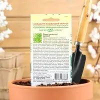 Семена комнатных цветов Финик "Луксор", ц/п,  2 шт.