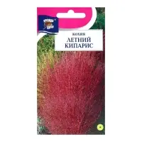 Семена цветов Кохия "Летний кипарис", 0,2г